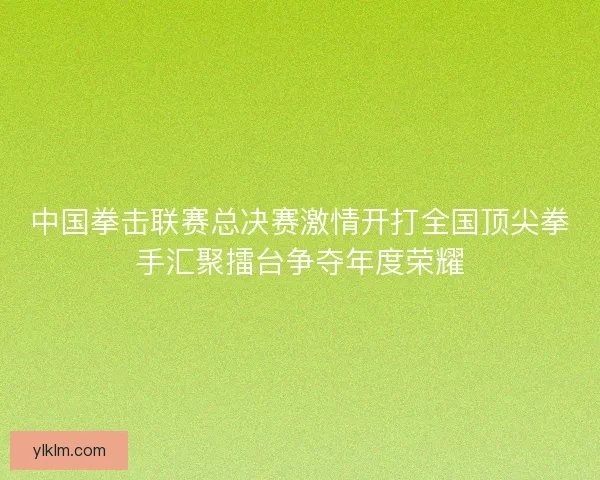 中国拳击联赛总决赛激情开打全国顶尖拳手汇聚擂台争夺年度荣耀