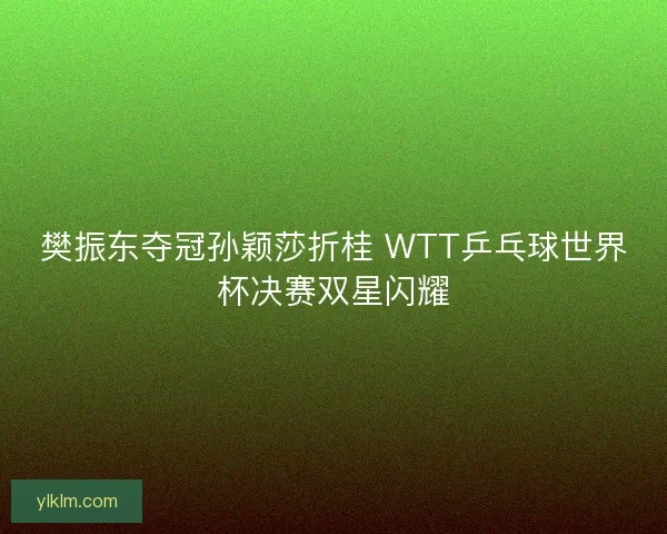樊振东夺冠孙颖莎折桂 WTT乒乓球世界杯决赛双星闪耀